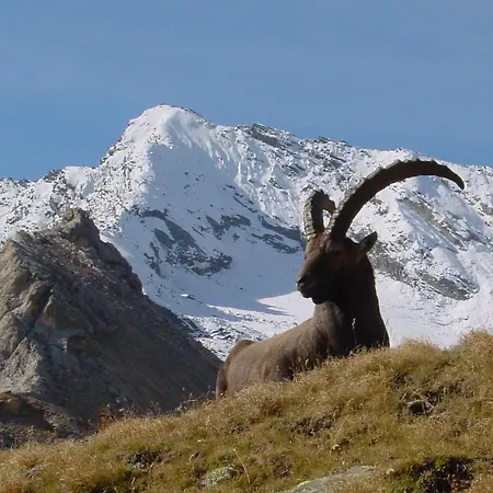 De La Vanoise 3* Pralognan-la-Vanoise